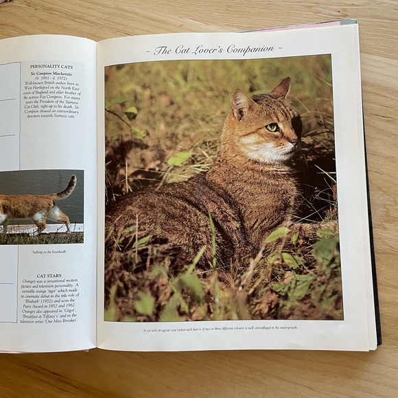 Vintage The Cat Lover’s Companion hardcover book - Picture 6 of 7